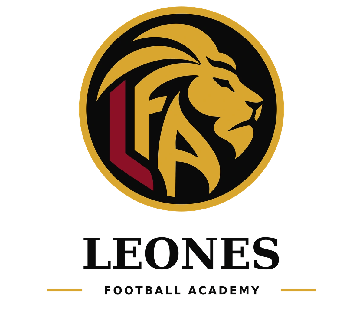 Escudo da Leones Football Academy