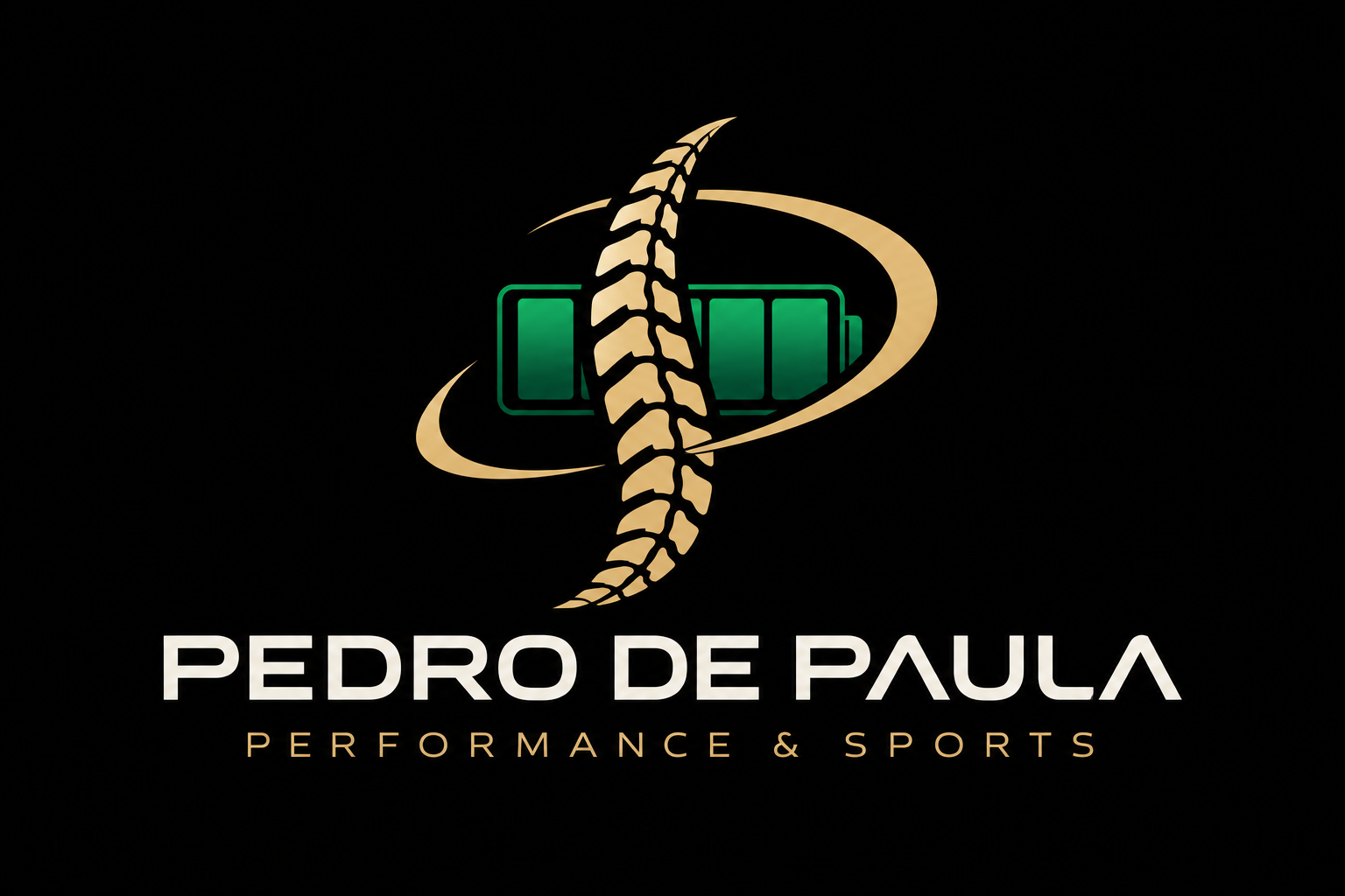 Identidade visual Pedro de Paula — Performance & Sports